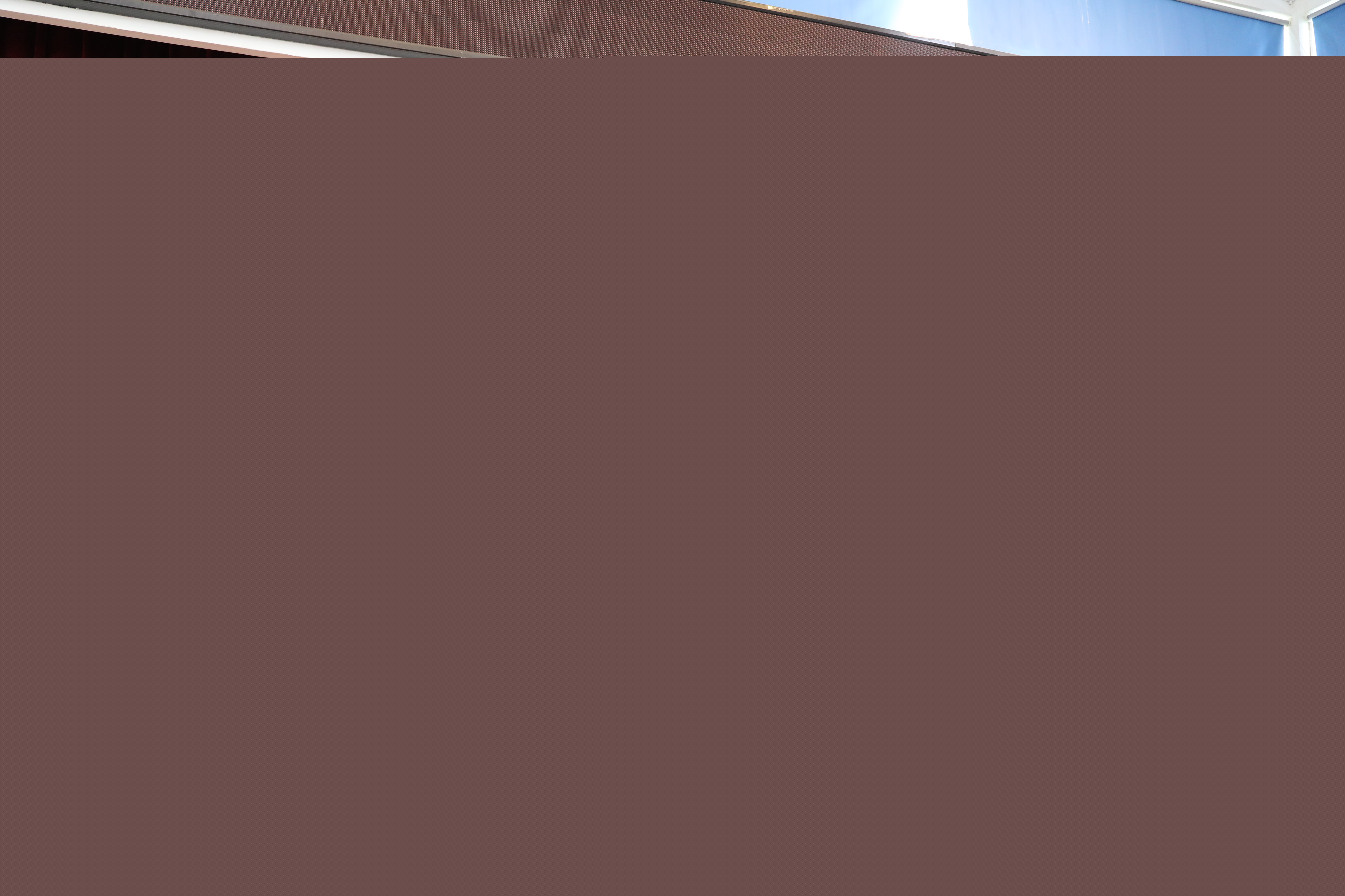 1746599185972647.jpg